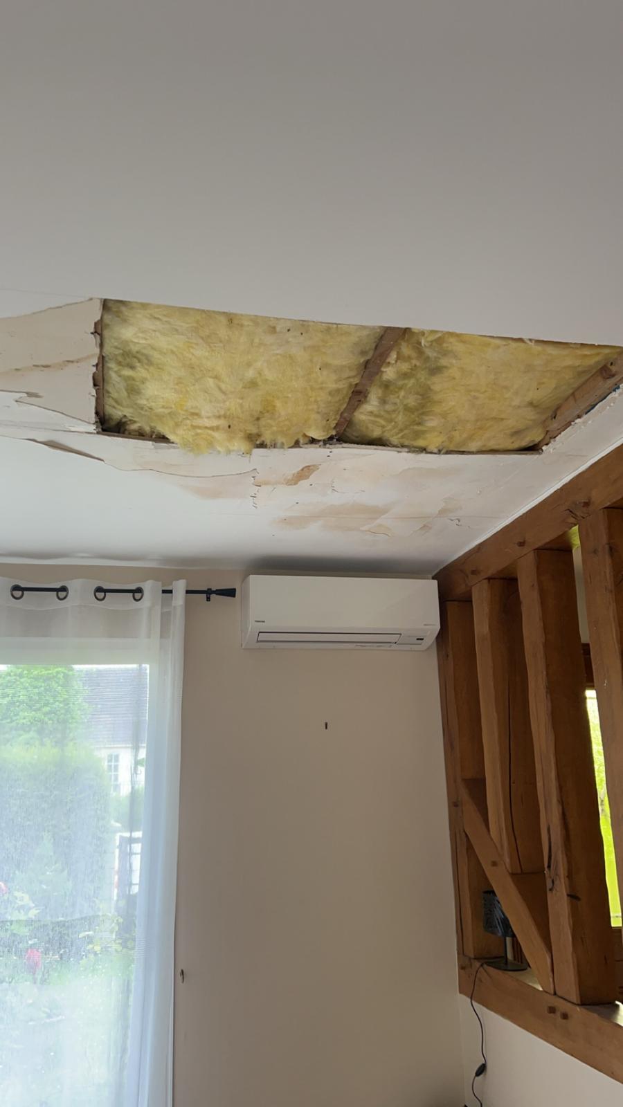 cfc2fe90-51b9-42a3-a10e-99a988ec0eeb